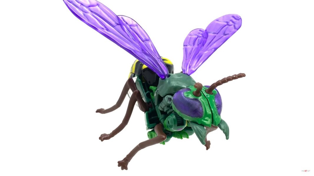 Transformers Kingdom Deluxe Class Waspinator  (2 of 28)